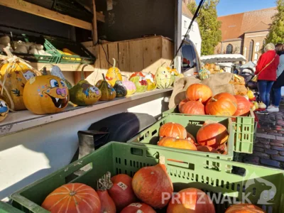 Zum PriMa-Treff Herbst- und Kürbismarkt wird für den 8. Oktober auf den Pritzwalker Wochenmarkt eingeladen. Foto: Stadt Pritzwalk (Bild vergr&ouml;&szlig;ern)