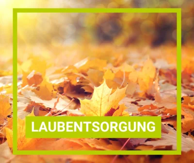 Laubentsorgung in Lehnin und Krahne (Bild vergr&ouml;&szlig;ern)