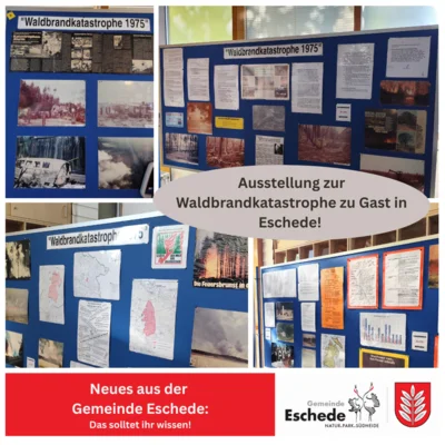 Waldbrandkatastrophe 1975 – eine immer präsente Gefahr! - Ausstellung (Bild vergr&ouml;&szlig;ern)