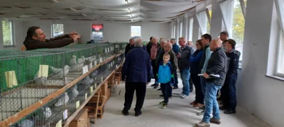 Jungtaubenbesprechung 2025 in Reitsch (Bild vergr&ouml;&szlig;ern)