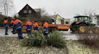 Jugendfeuerwehren sammeln Weihnachtsbäume ein (Bild vergr&ouml;&szlig;ern)