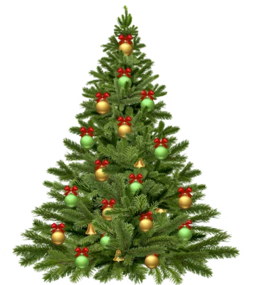Meldung: Weihnachtsbäume gesucht!