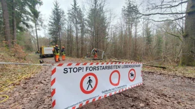 Meldung: Tagesseminar Fortbildung Motorkettensäge beendet