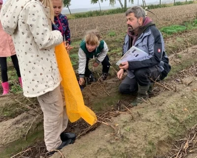Wieder Kartoffeln ..... in Welsickendorf (Bild vergr&ouml;&szlig;ern)