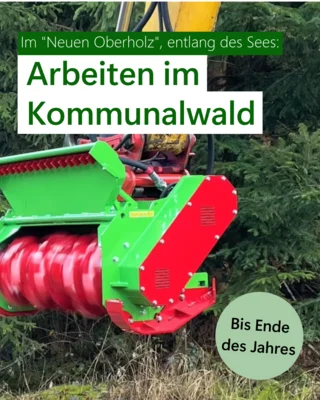 Arbeiten im Kommunalwald von Großpösna (Bild vergr&ouml;&szlig;ern)