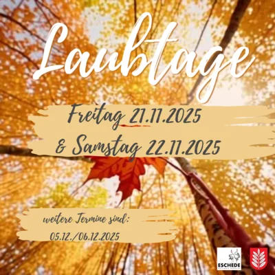 Laubtage 2025 in der Gemeinde Eschede (Bild vergr&ouml;&szlig;ern)