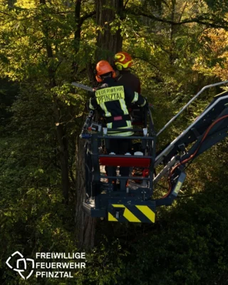 Sägen im Korb (Bild vergr&ouml;&szlig;ern)