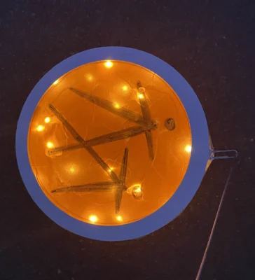 1. Meusebacher Lichterglanz – Ein Abend voller Licht, Musik und Gemeinschaft (Bild vergr&ouml;&szlig;ern)
