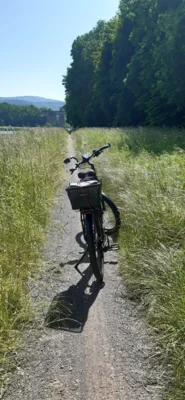 Werratalradweg September 2025 (Bild vergr&ouml;&szlig;ern)