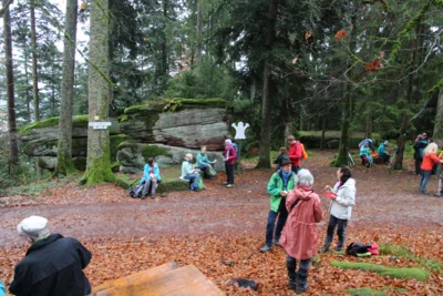 Foto zur Meldung: Letzte Wanderung in diesem Jahr zur Heidenkirche