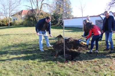 Bürgermeister Andreas Nette pflanzte gemeinsam mit seinem Team im Rahmen der Baumpflanz-Challenge einen Ahorn auf den Gerichtsplatz.