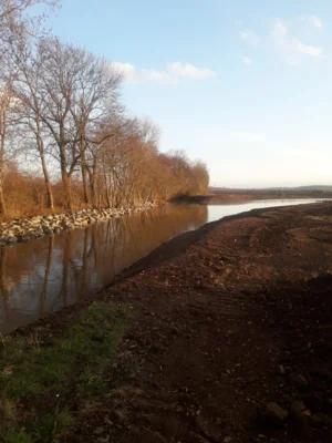 Mündungsbereich der ,,renaturierten,, Selke im Stauteich    Foto: IGBL