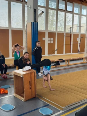 Foto zur Meldung: Kampfrichter Lehrgänge E und D-Lizenz Anmeldung online