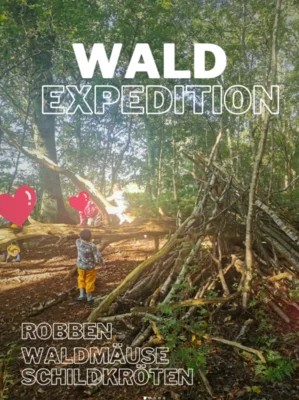 Waldexpedition der Robben-, Waldmäuse und Schildkröten Gruppe