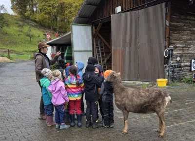 Jahresabschluss auf der Schubert Ranch (Bild vergr&ouml;&szlig;ern)