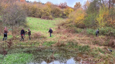 Pflege der Biotopteiche am Brückchenweg (Bild vergr&ouml;&szlig;ern)