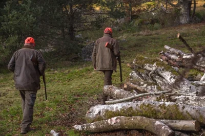 Revierübergreifende Drückjagd am 22. und 29. November 2025 (Bild vergr&ouml;&szlig;ern)