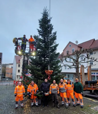 Gemeinsam stellten Bauhofmitarbeiter und die Firma Lehmann den wunderschönen Weihnachtsbaum auf dem Marktplatz auf (Bild vergr&ouml;&szlig;ern)