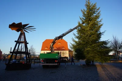 Baum und Pyramide aufstellen (Bild vergr&ouml;&szlig;ern)
