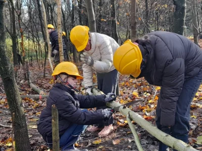 Auflichten im Schulwald 2025