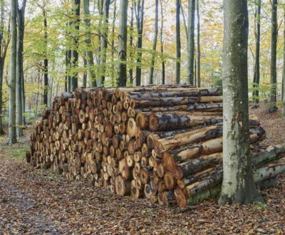 Meldung: Brennholzbestellung