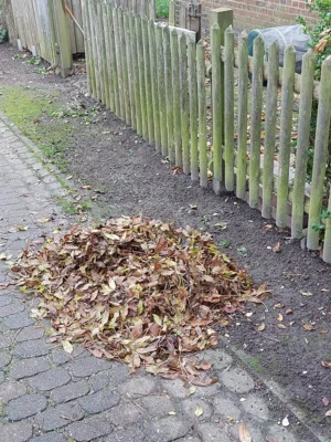(Foto: Stadt Wyk Andreas Hansen)