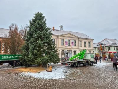 Der Weihnachtsbaum wurde am Motag vor dem Rathaus aufgestellt. Foto: Stadt Pritzwalk (Bild vergr&ouml;&szlig;ern)