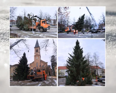 Weihnachtsbaum Zinzendorfplatz 2025 (Bild vergr&ouml;&szlig;ern)