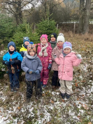 Die Vorschulkinder suchten den schönsten Baum für ihre Kindertagesstätte aus (Bild vergr&ouml;&szlig;ern)
