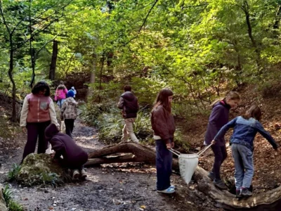 Waldwanderung der Lerngruppe 6a (Bild vergr&ouml;&szlig;ern)