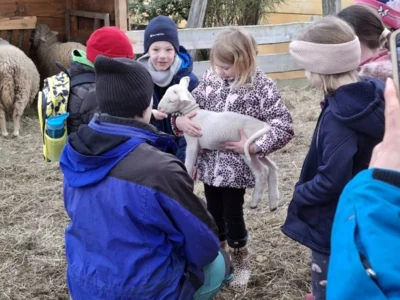 Heinrich-Schickhardt-Gemeinschaftsschule Bad Boll "fliegt aus" im Frühling (Bild vergr&ouml;&szlig;ern)
