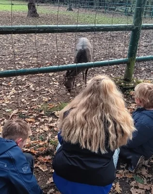 Meldung: Ab in den Wildpark