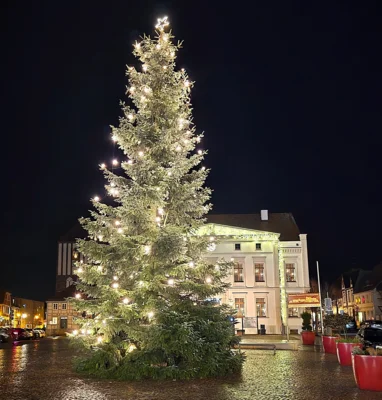 Der Weihnachtsbaum in vollem Glanz