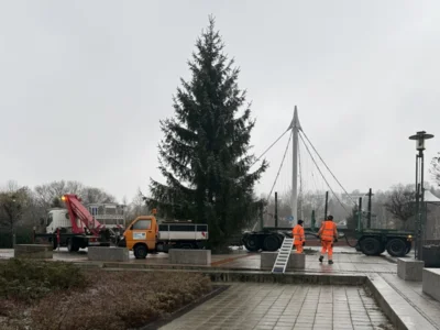 Mitarbeiter des Städtischen Bauhofs haben heute den Weihnachtsbaum auf dem Marktplatz aufgestellt. © Stadtverwaltung (Bild vergr&ouml;&szlig;ern)