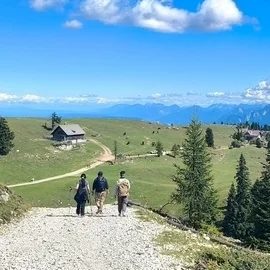 Digitale Fachkonferenz