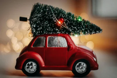 Weihnachten ohne Weihnachtsbäume (Bild vergr&ouml;&szlig;ern)
