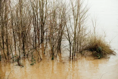 Hochwasserschutz in der Vogtei (Bild vergr&ouml;&szlig;ern)