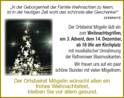 Weihnachtsgrillen des Ortsbeirates Mögelin (Bild vergr&ouml;&szlig;ern)