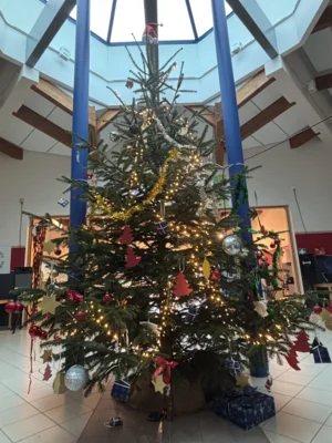 Meldung: Unser Weihnachtsbaum steht!