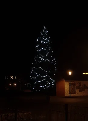 Weihnachtsbaum auf dem Schulhof (Bild vergr&ouml;&szlig;ern)