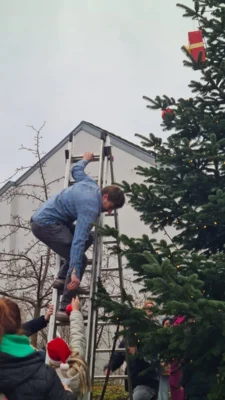 Traditionelles Tannenbaumaufstellen (Bild vergr&ouml;&szlig;ern)