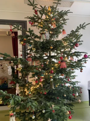 Weihnachtsbaum (Bild vergr&ouml;&szlig;ern)