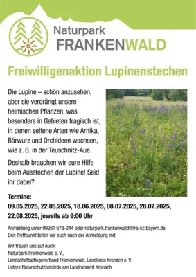 Meldung: Freiwilligenaktion Lupinenstechen