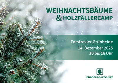 Weihnachtsbaumverkauf (Bild vergr&ouml;&szlig;ern)