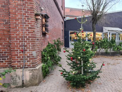 In Altkloster weihnachtet es (Bild vergr&ouml;&szlig;ern)