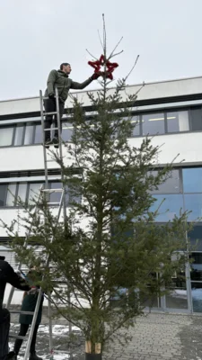 Meldung: Weihnachtsdeko