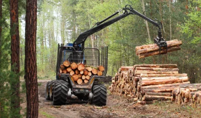 Foto: iStock/GettyImages (Bild vergr&ouml;&szlig;ern)