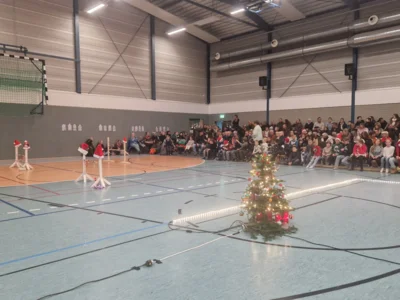 Es weihnachtet sehr (Bild vergr&ouml;&szlig;ern)