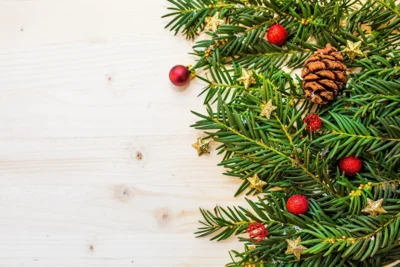 Meldung: Informationen zur Schulwoche vor den Weihnachtsferien