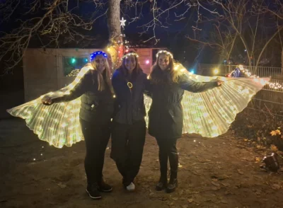 Foto zur Meldung: Feenzauber beim Lichterfest